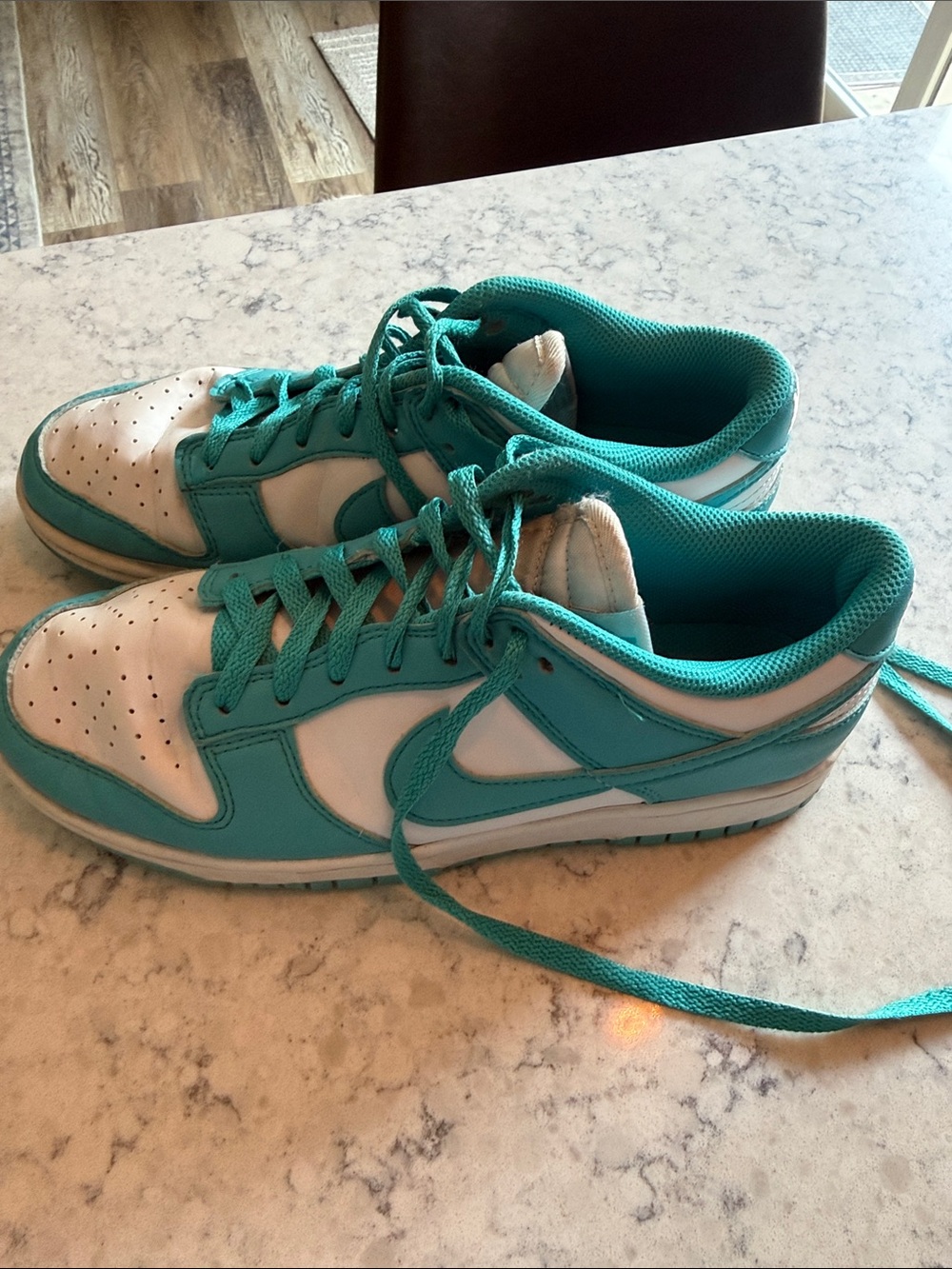 Nike Teal and White Low-Top Sneakers